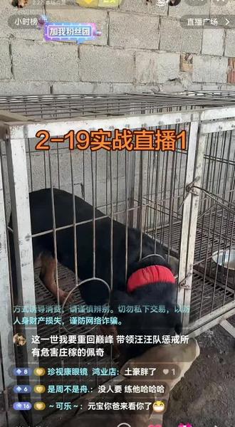 #西北实战 2-19直播1