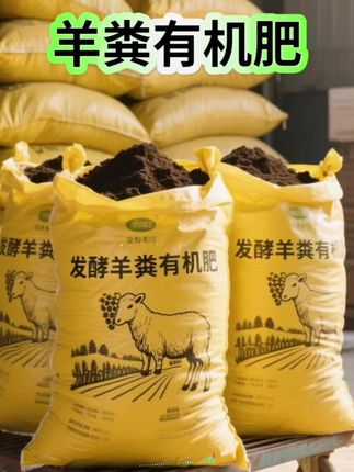 🌱种菜党狂喜!羊粪肥+营养土CP锁死了! 谁懂啊!自己种的小青菜总蔫蔫的?番茄结果少得可怜? 试试这个王炸组合!腐熟好的羊粪肥+蔬菜专用营养土,臭味几乎没有,埋土里超安心~ 羊粪肥慢慢释放肥力,营养土保水又透气,菜菜喝饱水吃够肥,蹭蹭长到爆盆!小番茄挂满枝,生菜嫩得能掐出水,吃着自己种的有机菜,比啥都香~ 养花也能用!绿萝吊兰疯长,开花又多又艳~ 种菜养花党直接冲!轻松实现果蔬自由~#羊粪有机肥 #园艺好物 #养花种菜 #有机肥推荐 #抖音助农