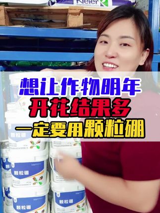 想要作物开花多结果多,一定要在底肥加点颗粒硼#颗粒硼#底肥 #农业知识科普 #农资肥料