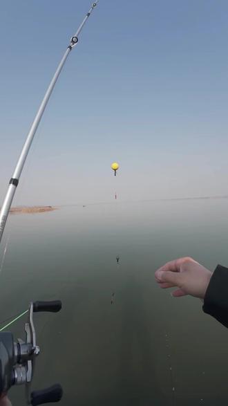 寒冬深水擒鲫秘籍|球球挑逗法,钩挂红虫配路亚,看漂就中鱼! #洛阳球钓法教学 #创作者中心 #创作灵感 #球球逗钓鲫鱼 #球球冬钓鲫鱼