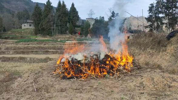 #新农人计划年关将至,立春己过,还有几十堆火灰都还没有烧
