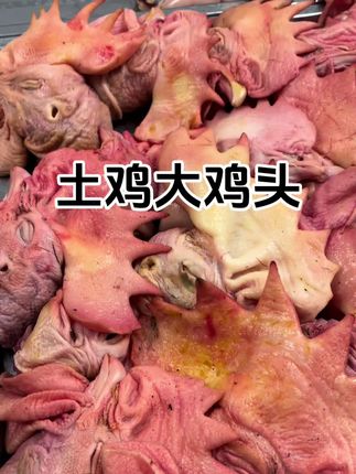 大鸡头