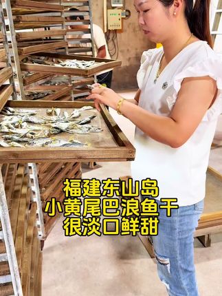 东山岛小黄尾巴浪鱼干 #小黄尾巴浪鱼干 肉质淡口不咸的鱼干!可以当零食吃的鱼干!