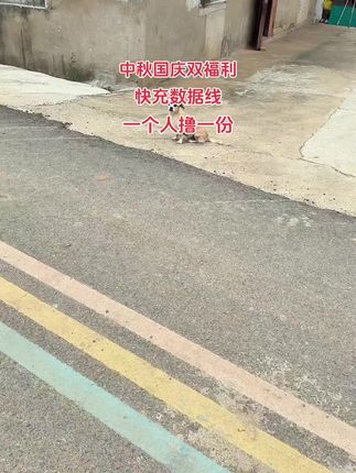 快快快!宝子们,抓紧时间撸#数据线#快充#快充套装