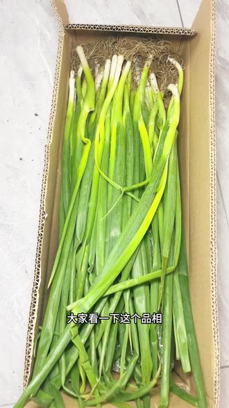 好新鲜好大的小葱啊 #蔬菜开箱 #新鲜香葱 #东北小葱#东北小葱蘸酱