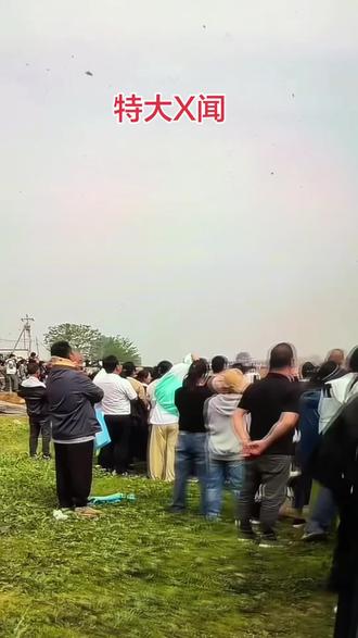 摘藜蒿大姐已浮出水面