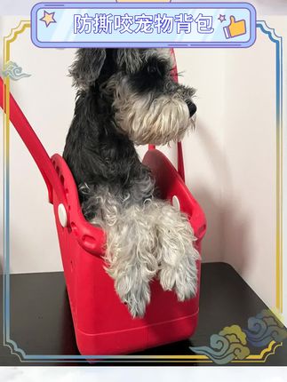 EVA材质坚固耐用可靠。小型犬猫适用外出包。DIY设计展现个性风格。背包式便携出行方便。夏日必备宠物好伴侣。轻巧设计携带无负担。宠物安全舒适有保障。外出游玩实用首选。时尚又实用宠物装备。#宠物背包 #防撕咬 #宠物用品推荐 #外出必备