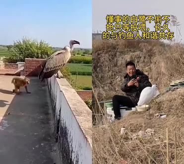 和 @80后坑哥 一起 #合拍