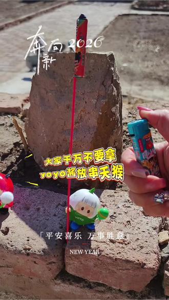 #yoyo酱 千万不要让yoyo酱放串天猴