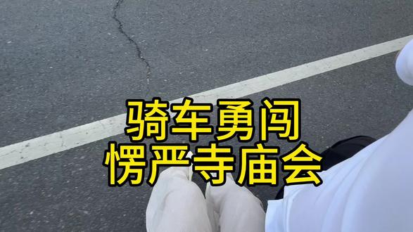 楞严寺庙会 楞严寺庙会#轰炸大鱿鱼
