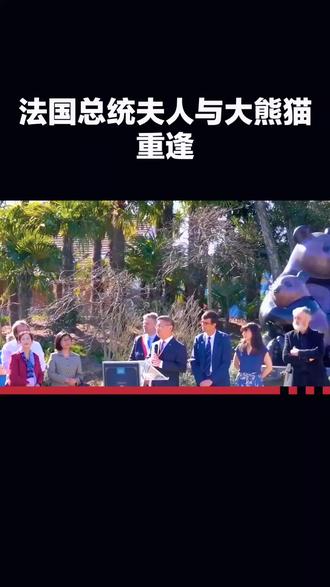 中法情谊的温暖互动:法国总统夫人布丽吉特与大熊猫“圆梦”的重逢
2025年12月5日,成都大熊猫繁育研究基地迎来一位特殊访客——法国总统夫人布丽吉特,她专程赴约与大熊猫“圆梦”重逢,一场跨越国界的暖心互动,尽显外国友人对中国国宝的真挚热爱。
“圆梦”是首只在法国出生的大熊猫,2017年其诞生之夜,布丽吉特便收到动物园园长每隔5分钟一次的报喜电话,这份特殊缘分让她主动成为“圆梦”的教母。从命名仪式上的初次相拥,到每年定制生日玩偶的牵挂,再到2023年送别时的不舍落泪,布丽吉特见证了“圆梦”的成长点滴。此次重逢,她一眼就认出长胖的“圆梦”,轻声呼唤“我的小宝贝”,蹲在圈舍前挥手互动,即便墨镜滑落也浑然不觉,眼角的笑意满是真切疼爱。
这份热爱早已超越个人情感。布丽吉特曾说“圆梦”兼具中法两国的温暖特质,它的名字寄托着中法友谊的期许。而中法大熊猫合作已延续十余年,“欢欢”“圆仔”旅居法国期间繁育的三只幼崽,成为连接两国人民的情感纽带,更让法国民众深深爱上这一中国国宝。
布丽吉特与“圆梦”的温情互动,是外国友人对大熊猫的纯粹喜爱,更是中法友谊的生动写照,让这份跨越国界的美好情谊愈发深厚。