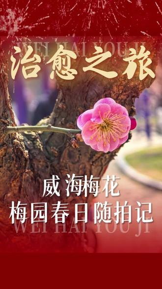 #九龙湾梅园 #威海#威海住宿 今天阳光明媚,竟一个不小心,闯进了九龙湾梅园,还没完全盛开就已经让人心情愉悦了