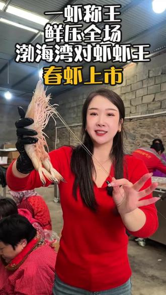 刚上岸的渤海湾野生海捕大对虾,春虾上市,保质保量,大家猜一下这对虾能有几个头?可以打在评论区#对虾#石岛渔港 #野生海鲜 #源头好货
