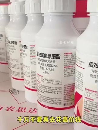 #杀虫剂 #杀虫剂配方 #杀虫剂推荐
