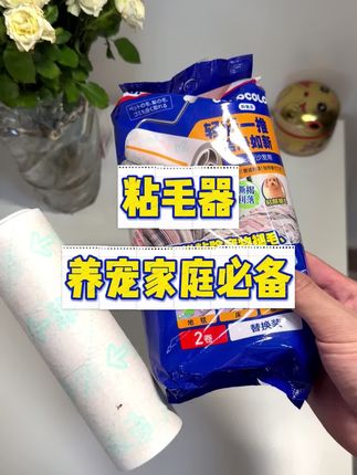 宠物用品赛道文案素材 - 养宠家庭好物分享,粘毛器#新手养猫 #萌宠好物 #粘毛器 - 野生崽崽和她爹作品