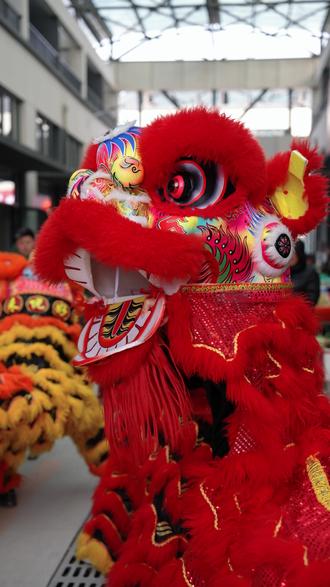 买年货,就到新五马智慧农贸港二期,现场抽黄金戒指,电动车,电饭煲好礼送不停#新五马智慧农贸港 #泰安