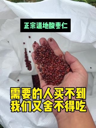 #酸枣仁 源产地直发