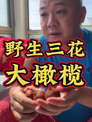 #文玩核桃 #橄榄球 #橄榄核 #橄榄 #文玩爱好者