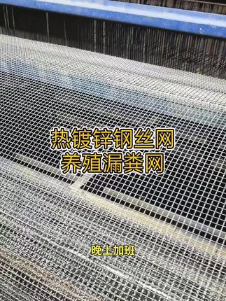 热镀锌钢丝网猪狗羊漏粪网围栏筛网鸡鸭鹅漏粪网