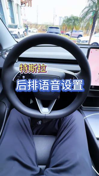 特斯拉后排语音设置