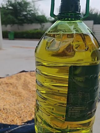 初榨橄榄油|地中海的阳光风味 每一滴皆为地中海的阳光礼赠,这瓶初榨橄榄油甄选新鲜橄榄果实,经物理冷榨工艺制成,完好留存单不饱和脂肪酸、维生素E及天然果香,让天然营养与健康美味二者兼得。 用于凉拌,清新香气在舌尖萦绕,一口便觉清爽开胃;进行低温烹饪,营养成分不易流失,轻松为日常餐桌增添地中海独特风情。 #初榨橄榄油 #橄榄油 #橄榄油的营养价值