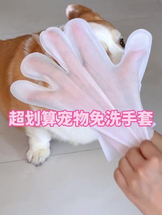 养狗人回家的步骤是不是都一样?这种免洗手套简直是必备#养狗经验分享 #科学养宠攻略 #新手养狗