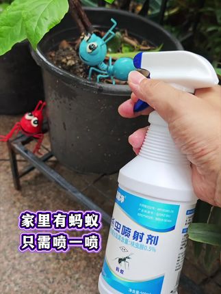 #蚂蚁#蚂蚁克星#蚂蚁药#蚂蚁一喷净#灭蚂蚁