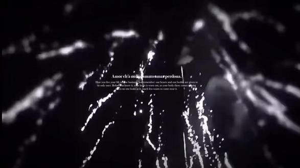 2026才是真正的世界末日#楚天以南