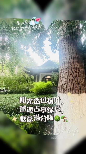 课文里的趵突泉💦济南👣