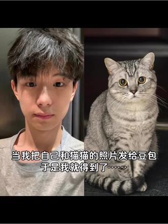 好有爱好喜欢,与猫咪相拥合照ai指令制作教程来啦! #豆包p图指令宠物合照指令 ai生成自己和宠物的合照 #和宠物合照 合照教程来啦!和自家萌宠合照! #豆包P图指令 #和宠物合照 #豆包ai