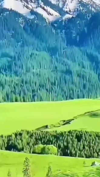 渡边淳一:恋爱中的歌德,一场晚年的自我镜像与超越