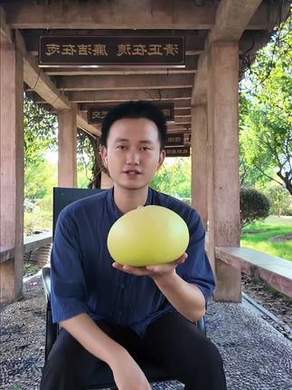 柚子界的天花板,甜度高果肉脆嫩可口让人吃过一口就喜欢上#玉环文旦 #玉环文旦旅游节 #文旦柚子