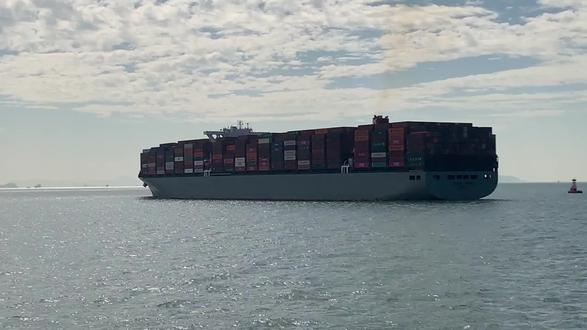 外贸货运术语第七集DAP。 #外贸 #外贸培训 #外贸干货 #外贸术语 #国际贸易