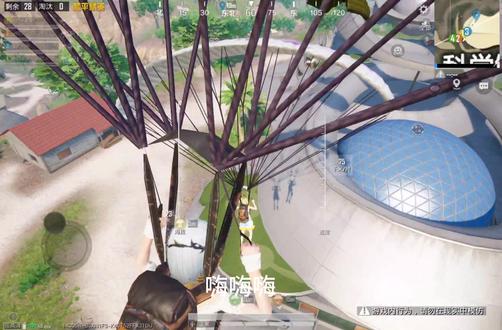 明天见~~~#和平精英 #度假岛