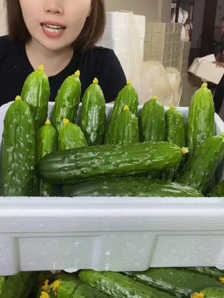 东北旱黄瓜新鲜水果小黄瓜生吃小青瓜带刺黄瓜脆嫩小黄瓜凉拌黄瓜#新鲜黄瓜#脆嫩爽口#现摘现发