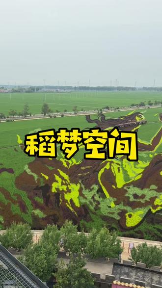 稻梦空间可以免费入园啦!一直到6月30号#稻梦空间#夏赏稻田冬玩雪#沈阳乡村游玩天花板#跟着东北超游东北