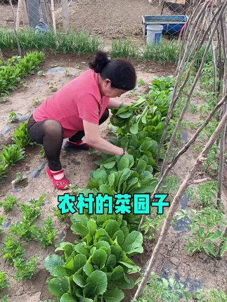#记录真实生活 #脆皮烤肠 #好物分享