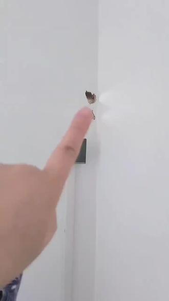 立邦密封胶泥,堵洞神器,空调洞老鼠洞下水道通用,无异味防臭堵漏就用它。#密封胶泥 #堵洞神器 #防漏密封胶 #立邦 #堵洞口