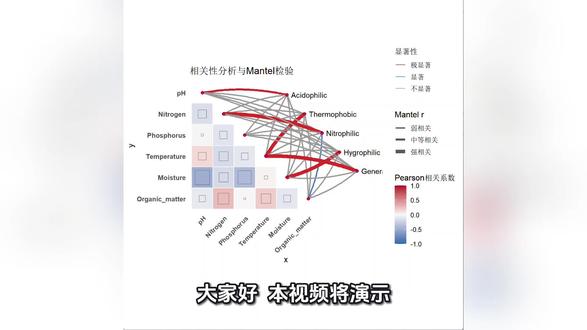 R语言 Mental相关性 蝴蝶图