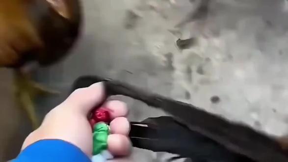 白菜对我笑#自然奇观 #景点打卡 #一般人不知道是什么 #文化和自然遗产可以有多酷 ##冰红茶为你而来