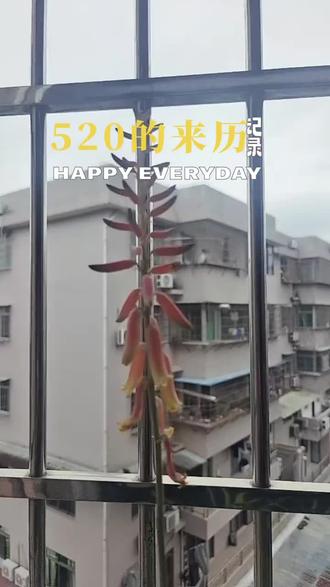 520的来历,你过对了吗?😀😀😀
