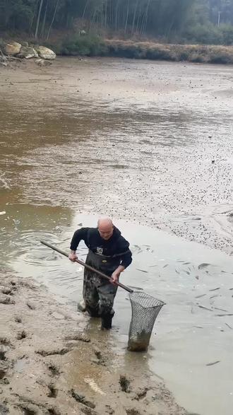 腊月农村生活还是很丰富多彩的,这种放鱼塘抓鱼的乐趣你有多久没有体验过了#我的乡村生活#农家放鱼塘#康养名城广德
