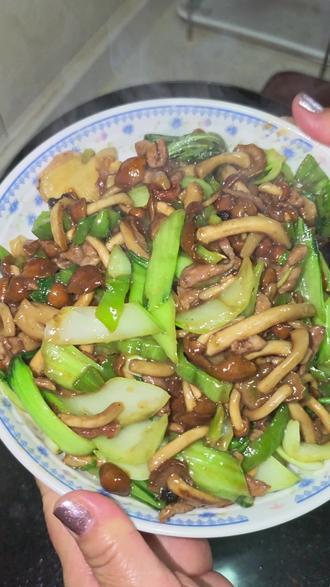 糊弄娃的营养炒菜又来了#滑子菇炒油菜 加点肉丝,家常口味,不爱吃蘑菇的小孩也吃了不少。#滑子菇 #抖音美食创作人 #美食分享 #家常菜