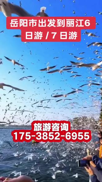 岳阳市出发到丽江老年旅游团电话【175-3852-6955】还在纠结云南旅游报团哪家好,不知道怎么找靠谱的云南旅行社地接,想一次性走遍昆明、大理、丽江、腾冲、西双版纳全境风光,不用自己费心做攻略、抢机票、订酒店,这条高性价比行程一定要收藏。专为家庭旅游、老年人康养出游、亲子研学旅行、情侣蜜月度假、双人结伴出行量身定制,行程节奏舒缓不赶路,老少适配体验感拉满。套餐价格透明无套路,6天5晚仅需1250元每人,7天6晚1450元每人,8天7晚1650元每人,全部包含往返机票,一价全包无隐形消费无强制购物。正规本地地接旅行社直发团,深度串联云南各大网红景点与人文秘境,洱海环海、玉