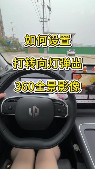 这样打转向灯行车更方便安全 #零跑C10#用车知识 #用车小知识 #零跑汽车