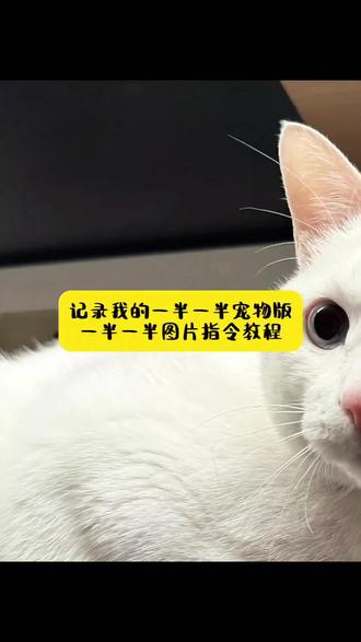 记录我的一半一半萌宠版 一半一半图片生成指令教程 #豆包ai ,#豆包P图已经nextlevel了 #记录我的一半一半 #一半一半 一半一半图片怎么拼图 一半一半图片怎么拼图有黑线 一半一半的图自己有黑线 一半一半图片怎么拼图抽象 一半一半 一半一半图片怎么拼图教程 一半一半图片 一半一半图片怎么拼图43 一半一半图片怎么拼图醒图 一半一半图片怎么拼图朋友圈 一半一半豆包指令 一半一半图片制作方法34 一半一半图片制作方法 一半一半图片怎么拼图 一半一半照片怎么弄 一半一半图片制作 一半一半图片制作方法分享 一半一半 一半一半图片 一半一半制作过程 #豆包ai生成图片 ai照片生成 ai生成自己图片