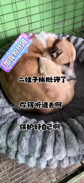 #西北刀客公益护农队 #创作者中心 #创作灵感 #西北刀客二娃 #神奇动物在抖音 @西北刀客-公益护农 @西北刀客-机油手