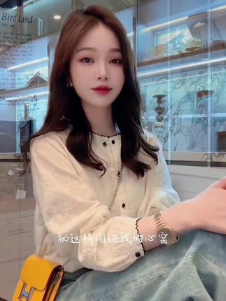法式绣花领白衬衫女装秋季2025年新款打底衬衣轻奢高级感欧货 #法式穿搭#秋冬新款 #打底衫搭配 #高级感穿搭#百搭上衣