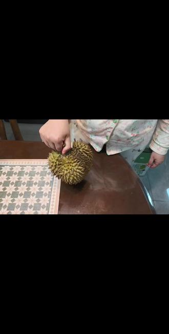 #拼多多榴莲盲盒 后续来啦,开出来三房肉,干包,香甜,美中不足没有那么糯,总体来说不错,毕竟一分价格一分货!