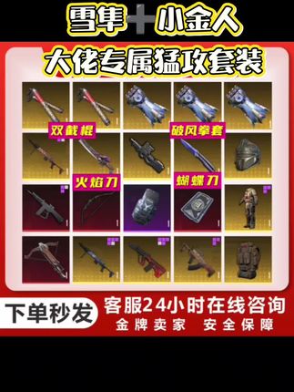大佬猛攻装备,雪隼➕小金人套装。你值得拥有!#游戏装备 #和平精英#地铁逃生#上热搜 #抖音推广